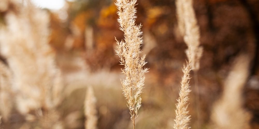 Et si on profitait de l'automne pour faire le vide?